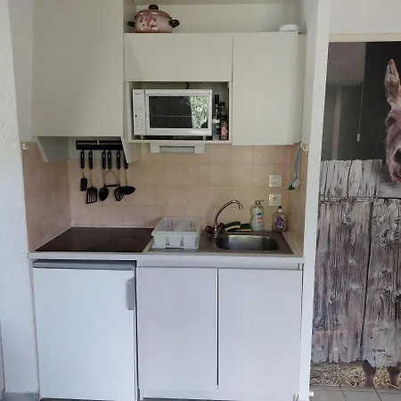 Appartement Chatel, 2 Pieces, 4 Personnes - Fr-1-198-240